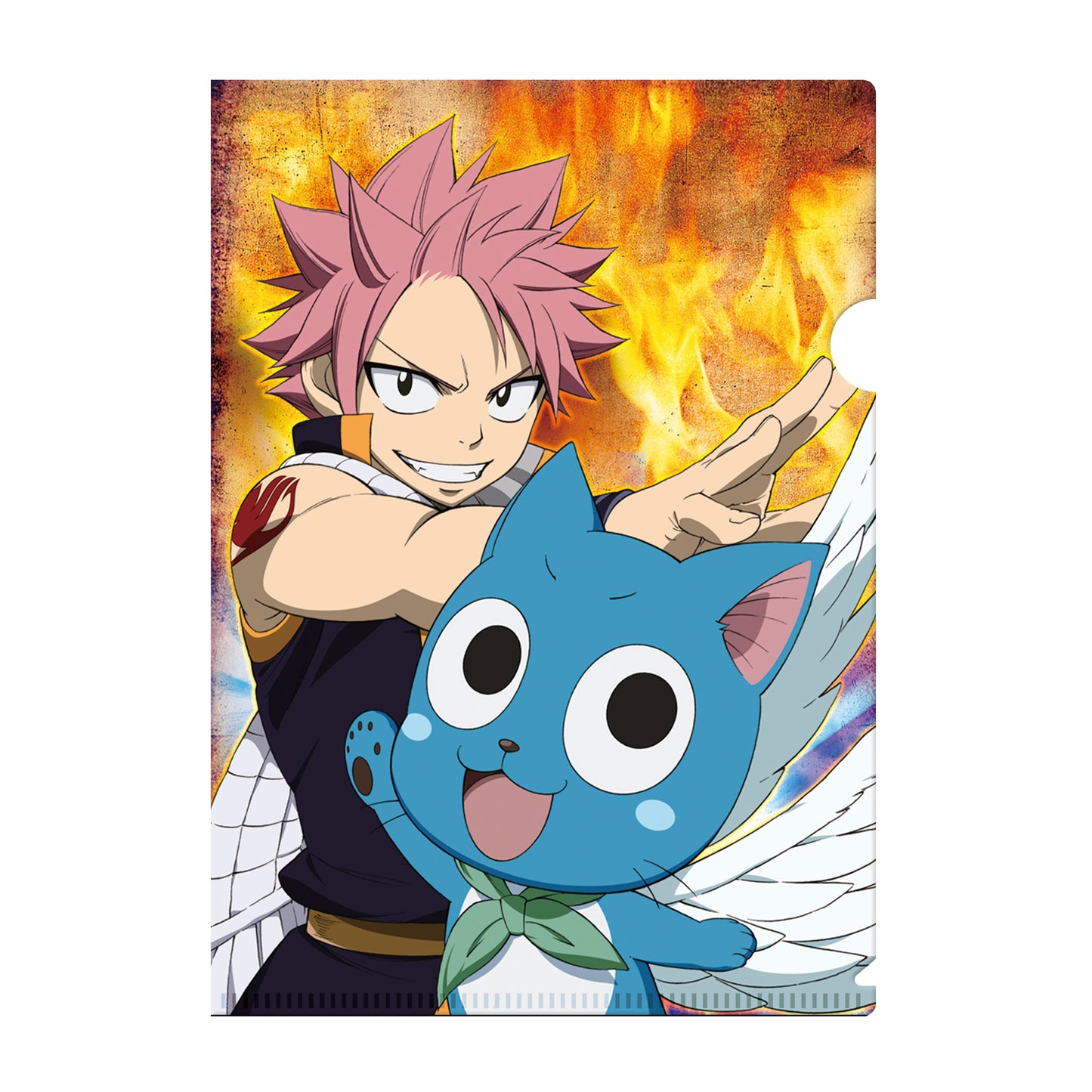 Fairy Tail Clearfile Set 02