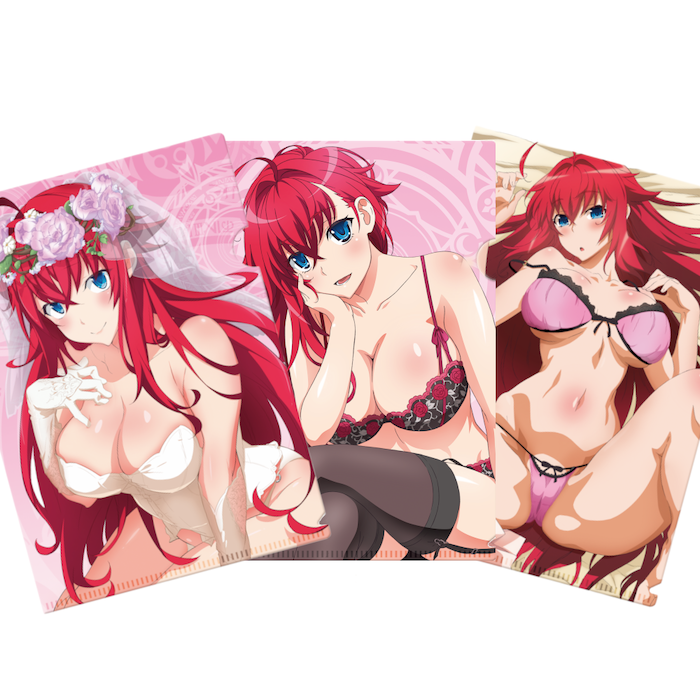 Highschool DxD - Clearfile Set - A4