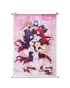 Highschool DXD Wallscroll Group 60cm x 86 cm