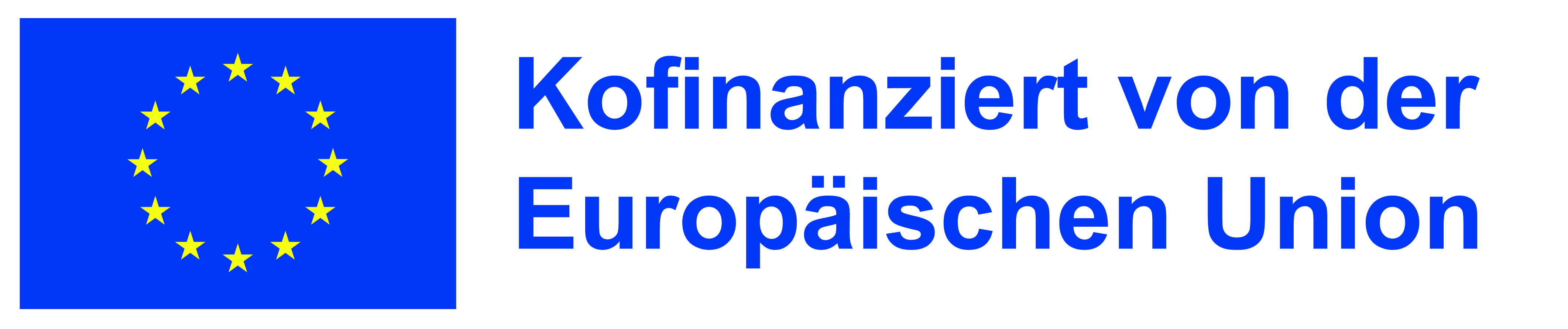 Förderung der Digitalisierung durch die Europäische Union